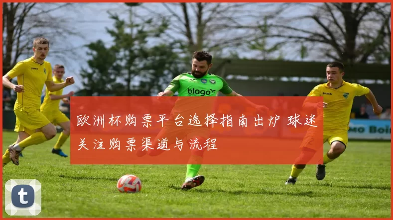 欧洲杯购票平台选择指南出炉 球迷关注购票渠道与流程