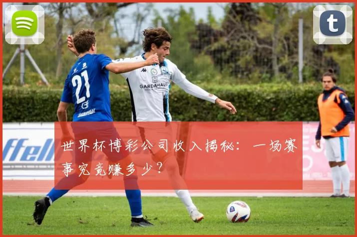 世界杯博彩公司收入揭秘：一场赛事究竟赚多少？