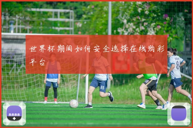 世界杯期间如何安全选择在线购彩平台