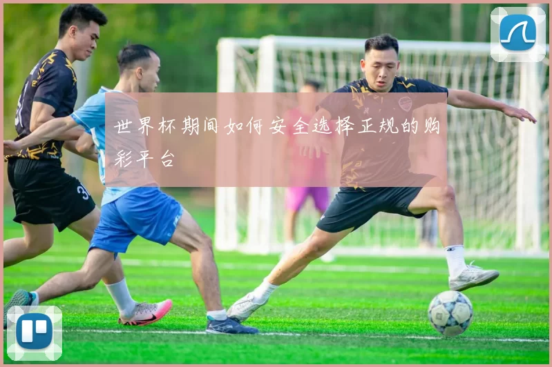 世界杯期间如何安全选择正规的购彩平台