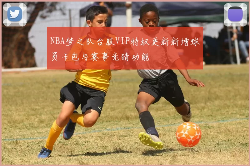 NBA梦之队台服VIP特权更新新增球员卡包与赛事竞猜功能