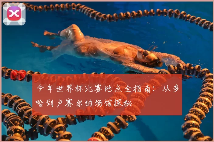 今年世界杯比赛地点全指南:从多哈到卢赛尔的场馆探秘