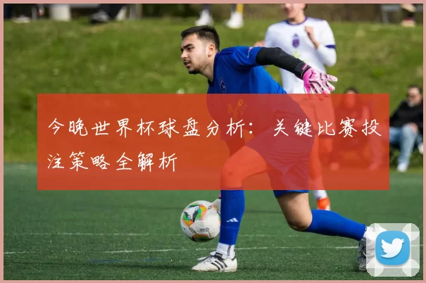 今晚世界杯球盘分析：关键比赛投注策略全解析