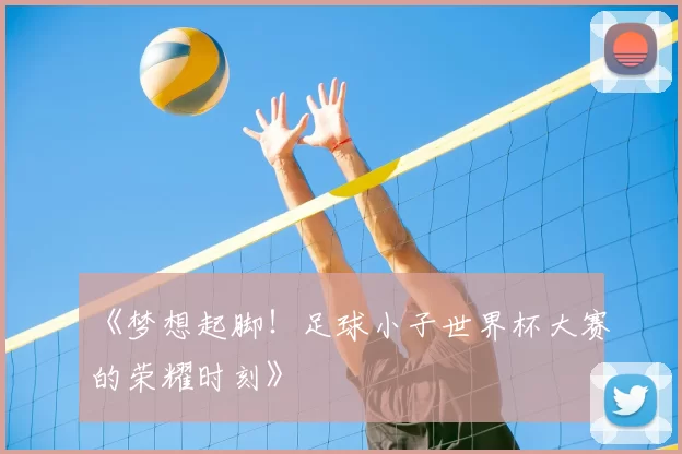 《梦想起脚！足球小子世界杯大赛的荣耀时刻》