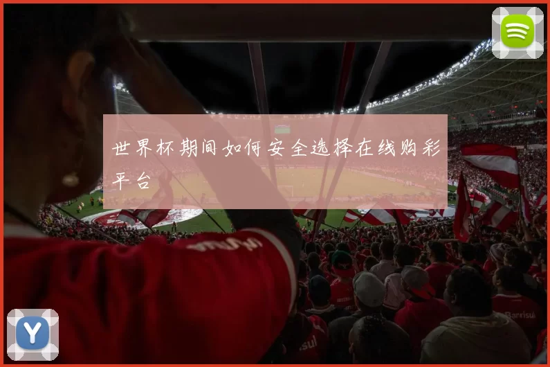 世界杯期间如何安全选择在线购彩平台