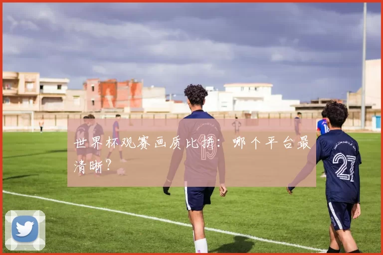 世界杯观赛画质比拼：哪个平台最清晰？