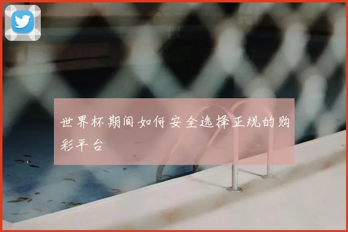 世界杯期间如何安全选择正规的购彩平台