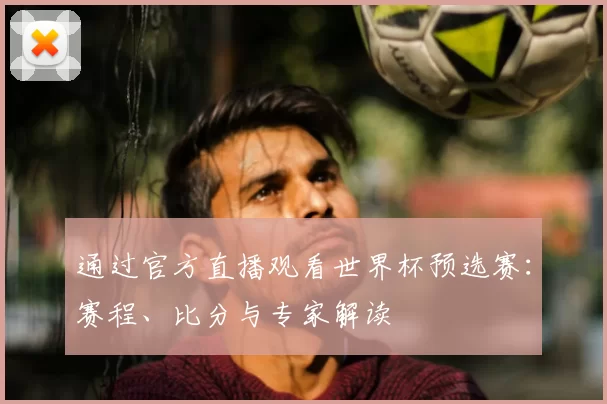 通过官方直播观看世界杯预选赛：赛程、比分与专家解读