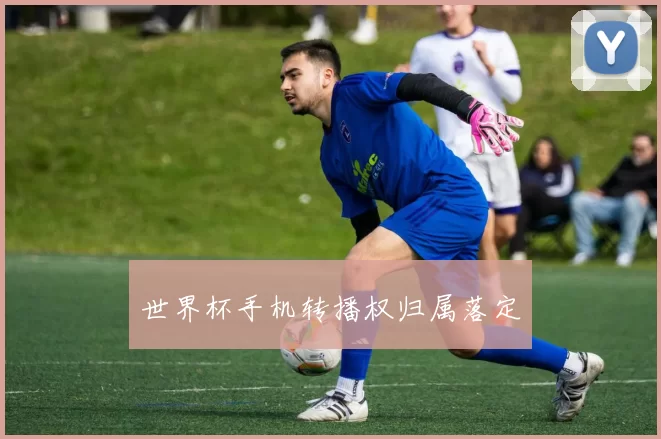 世界杯手机转播权归属落定