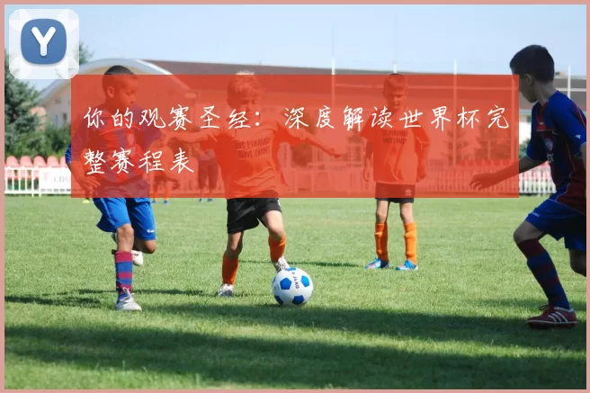 你的观赛圣经：深度解读世界杯完整赛程表