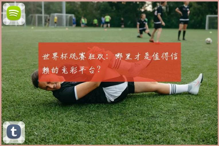 世界杯观赛狂欢：哪里才是值得信赖的竞彩平台？