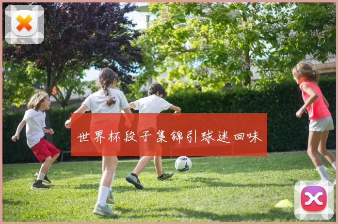 世界杯段子集锦引球迷回味