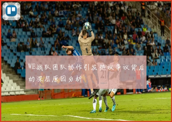 WE战队团队协作引发热议争议背后的深层原因分析
