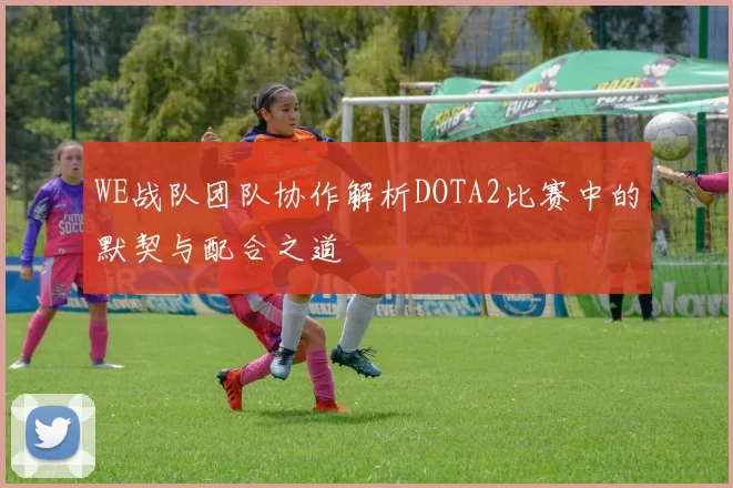 WE战队团队协作解析DOTA2比赛中的默契与配合之道
